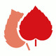 Logo KATHARINENHOF ? IM LERCHENFELD